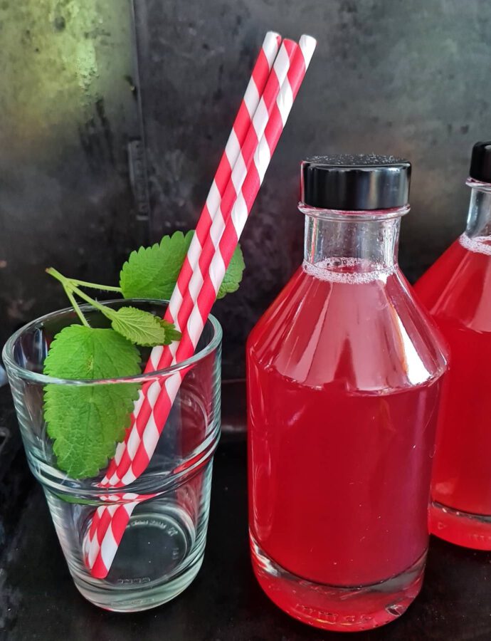 Rhabarberschalen-Sirup