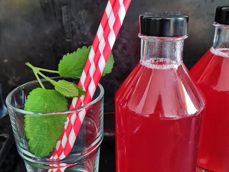 Rhabarberschalensirup